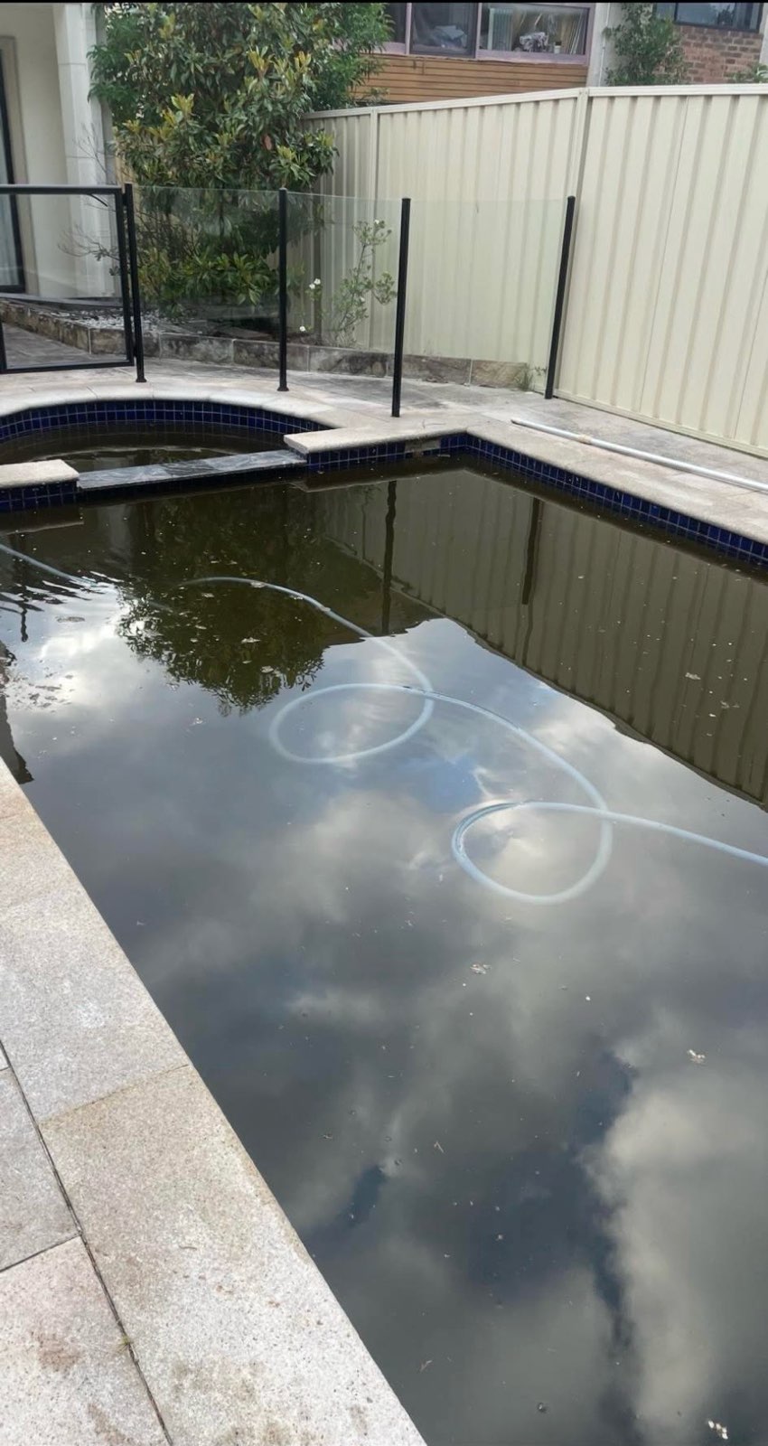 Murky green pool before cleaning