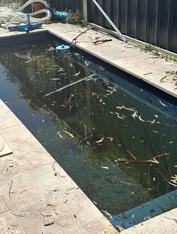 Dark pool with leaves and debris before cleaning